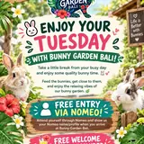 Tuesday