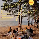 Sunset Picnic & Chill