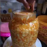 Fermentation Workshop & Microbiome Lecture w/ Bali Wild Chef