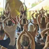 Sunday Wellness Festival