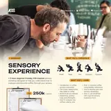 Coffee Sensory Experience