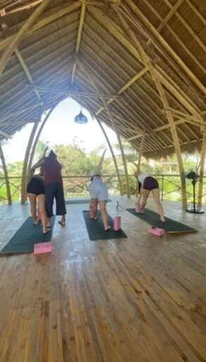 Hatha Yoga w/ Rodrigo