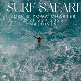 Surf Safari