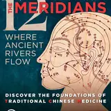 The 12 Meridians