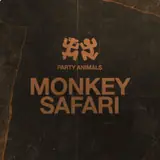 Monkey Safari