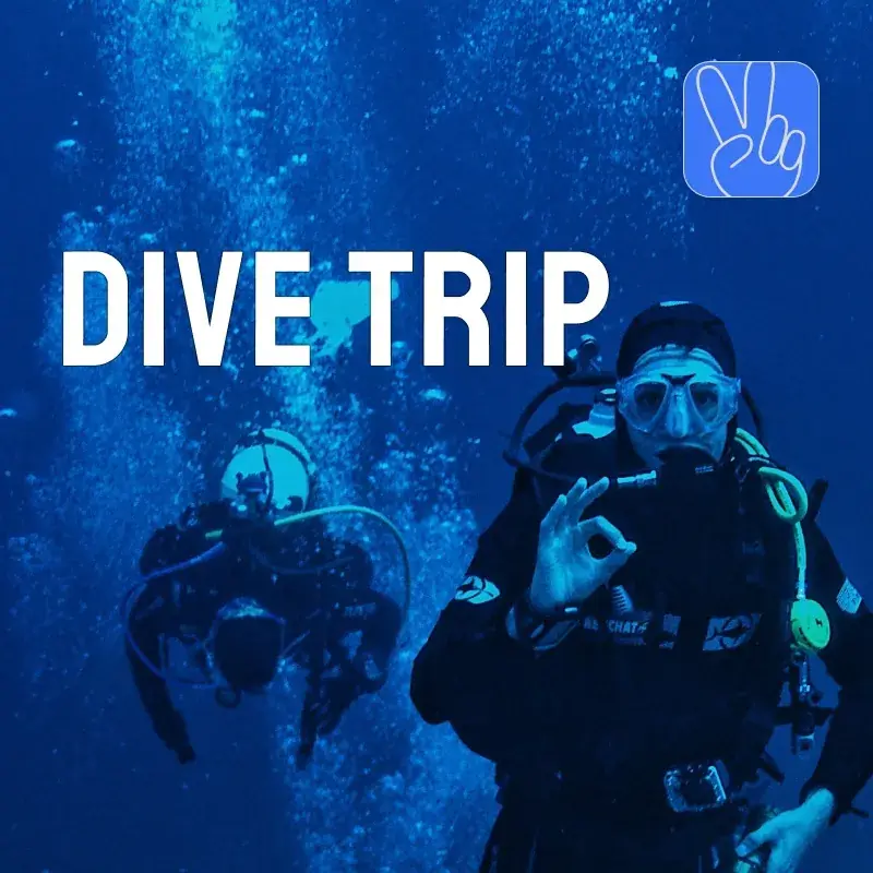 Dive into the Deep