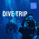 Dive into the Deep
