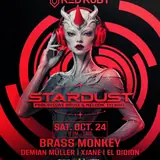 Stardust
