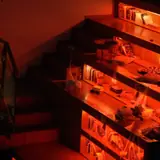 Halloween Party