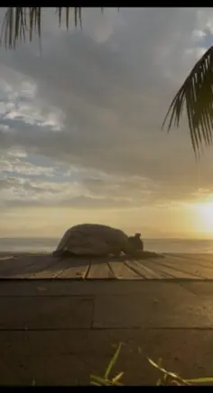 Restorative Yoga & Yoga Nidra