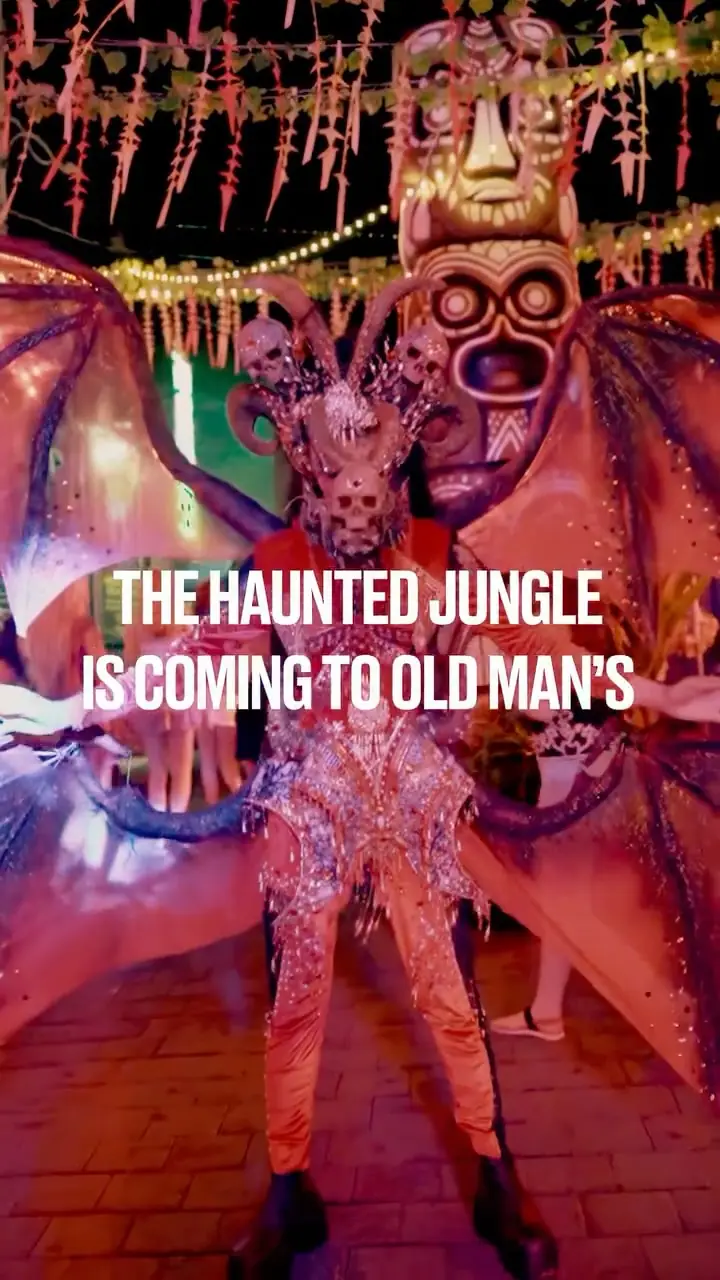 The Haunted Jungle