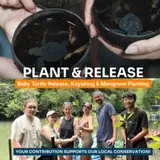 Plant & Release