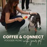 Coffee & Connect