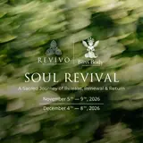 Soul Revival