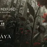 Fallen Wonderland