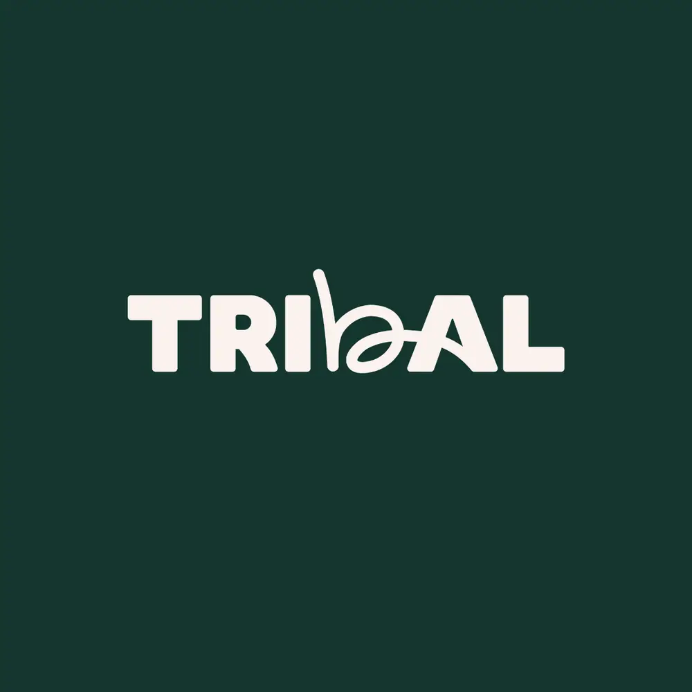 Tribal Connect: Speed Networking