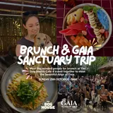 Brunch & Gaia Sanctuary Trip
