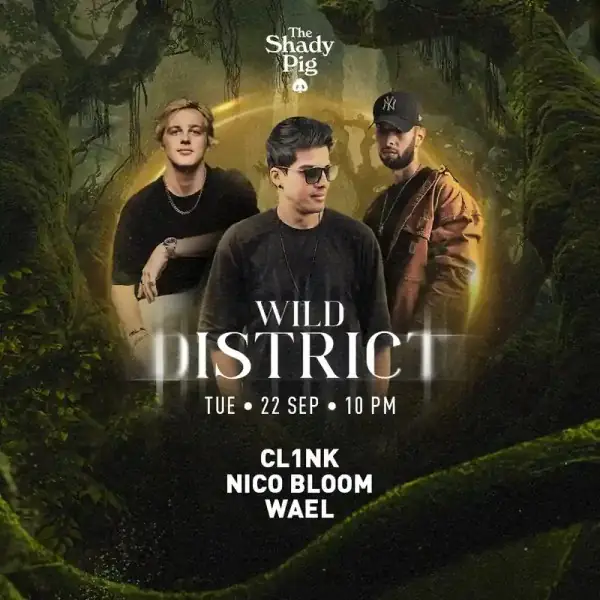 Wild District with CL1NK