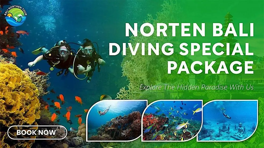 North Bali Diving