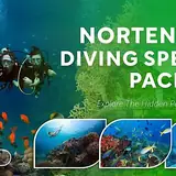 North Bali Diving