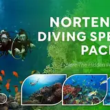 North Bali Diving