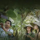 Roots, Fruits And Bamboo Shoots