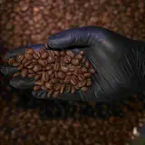 Bali Beans Weekly Cupping Experience
