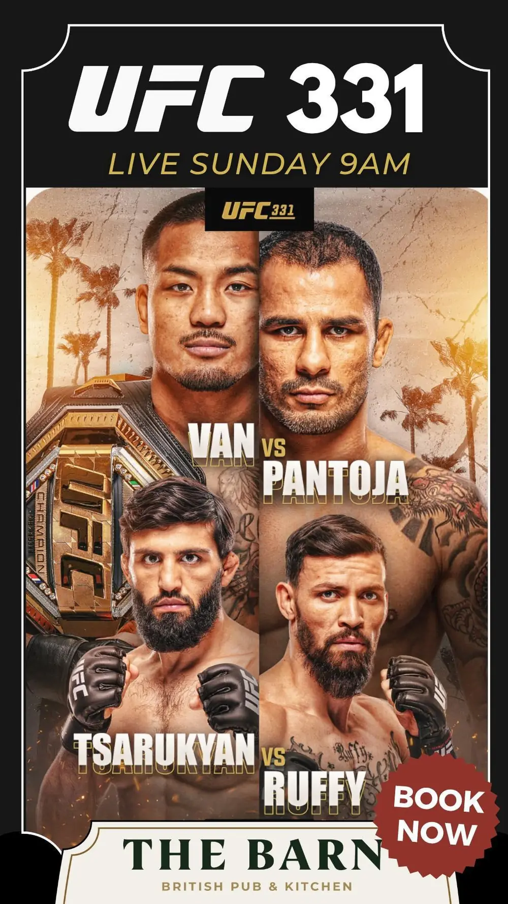 UFC 331: Van vs Pantoja & Tsarukyan vs Ruffy