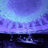 Lunar Resonare