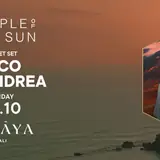 Nico De Andrea