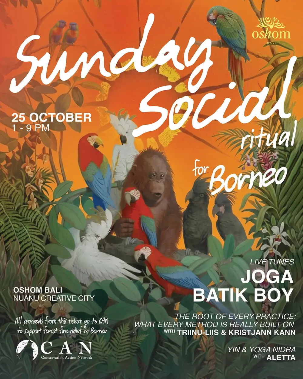 Sunday Social Ritual for Borneo