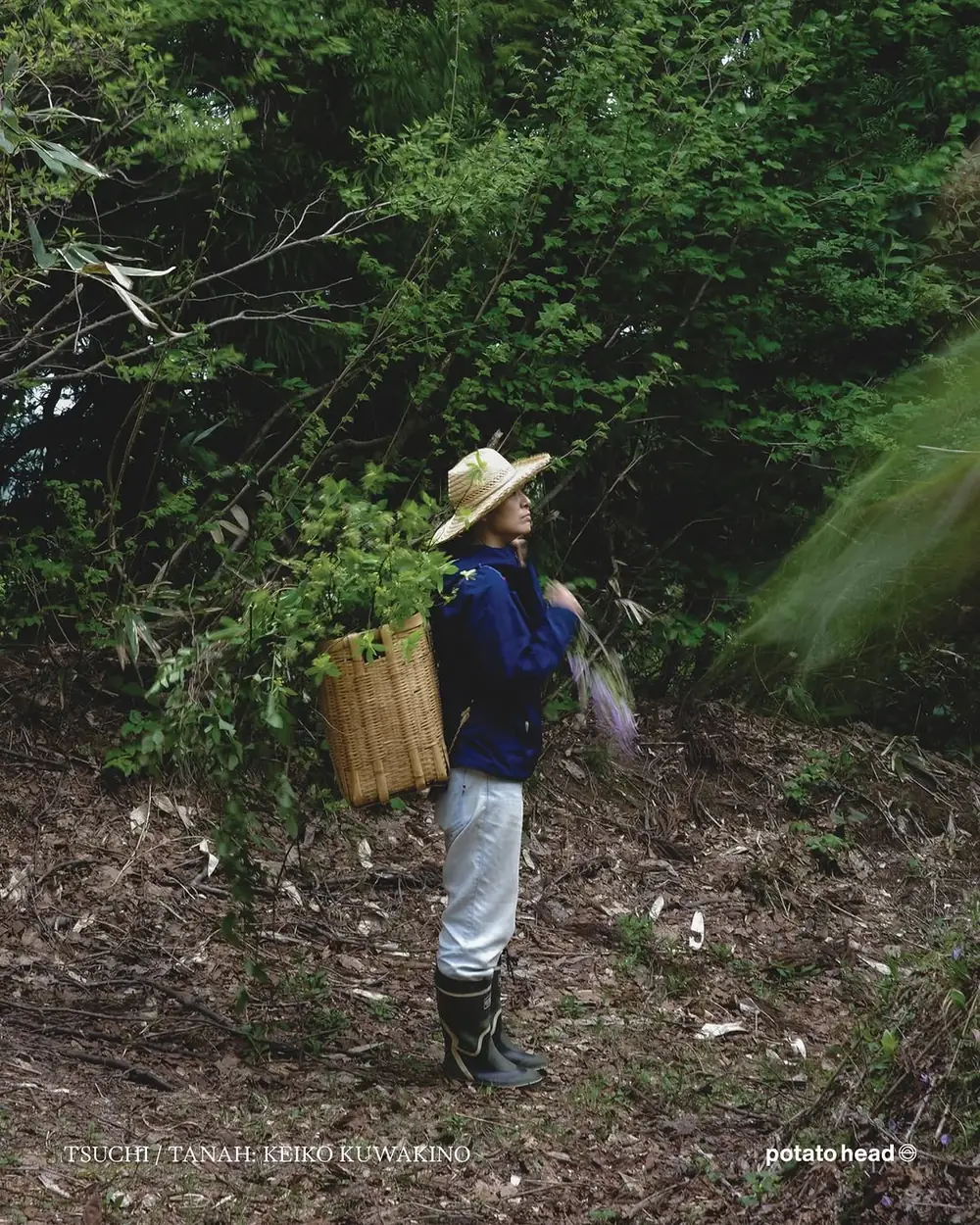 Tsuchi / Tanah