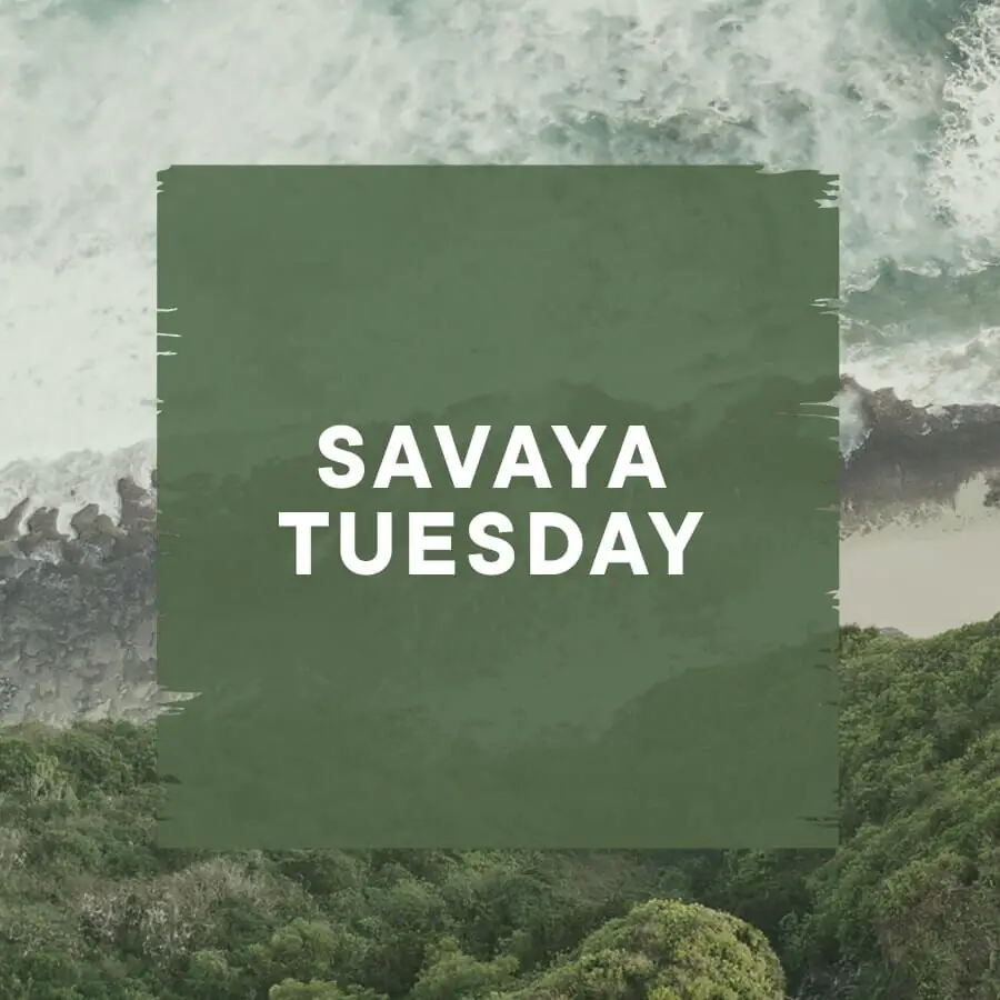 SAVAYA TUESDAY at Savaya Bali