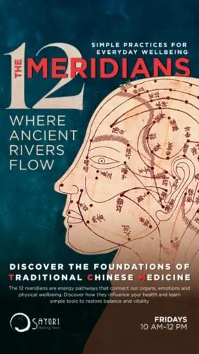 The 12 Meridians