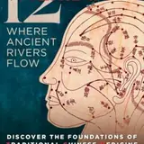 The 12 Meridians